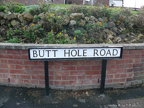 Butthole road