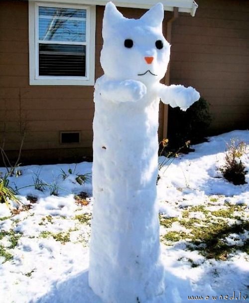 Snow longcat