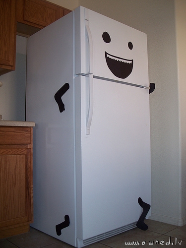 Funny refrigerator
