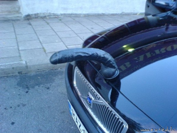 Dildo car