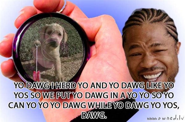 Yo dawg