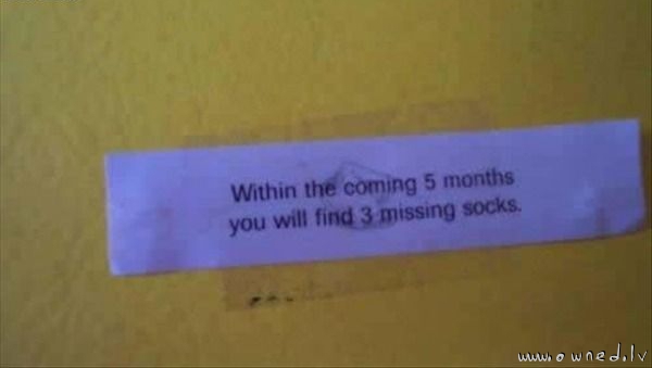 A fortune cookie