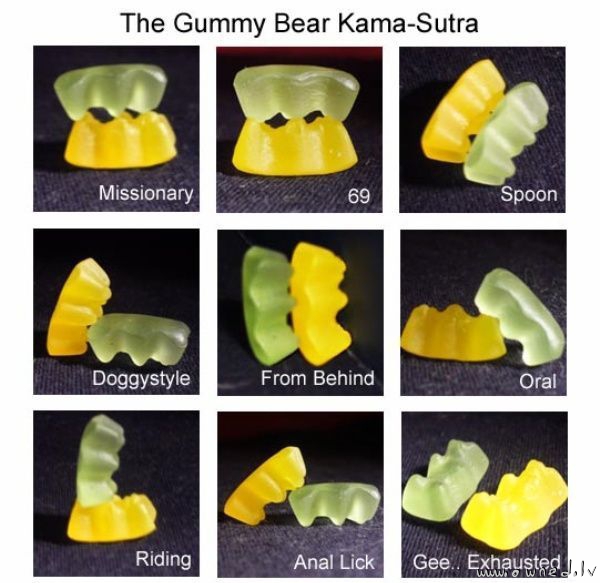The gummy bear kamasutra