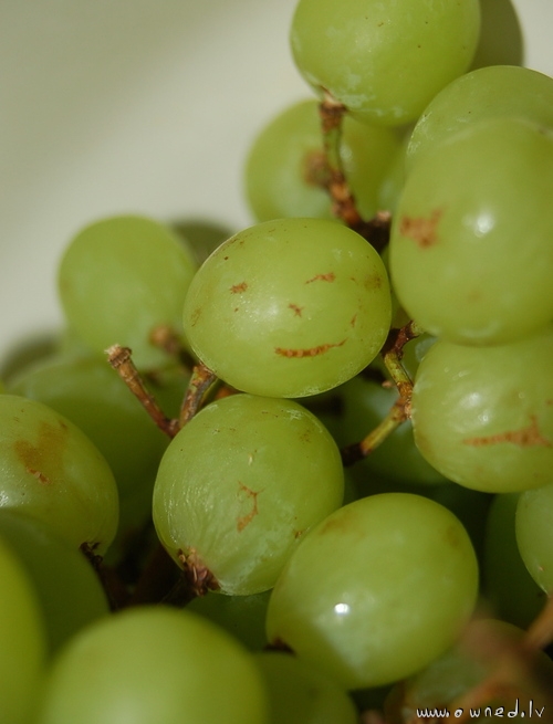Smiling grape