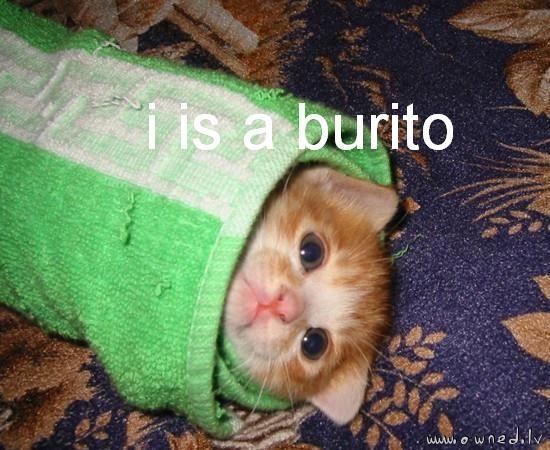 I is a burito
