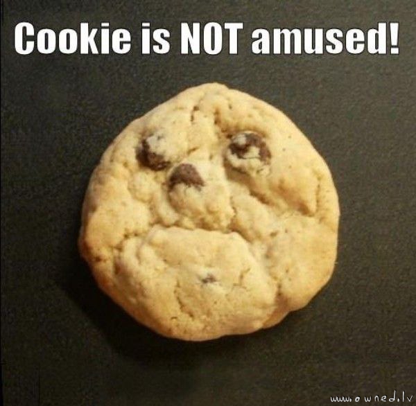 Cookie is not amused !