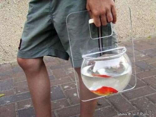 Walking my fish