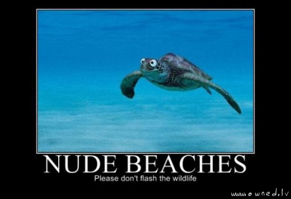 Nude beaches