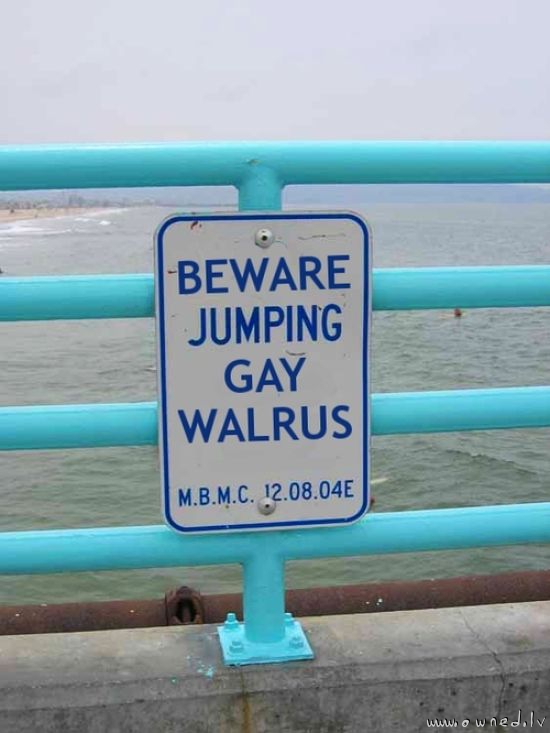 Beware jumping gay walrus