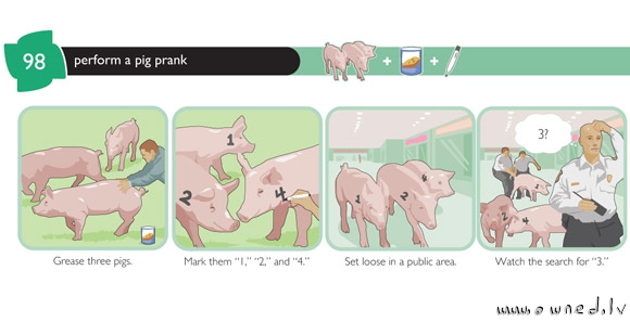 A pig prank