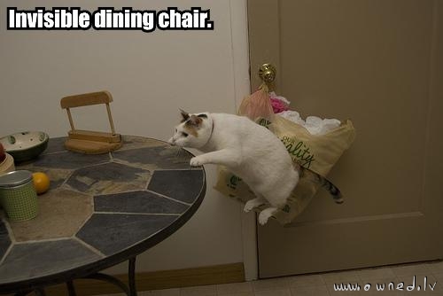 Invisible dining chair