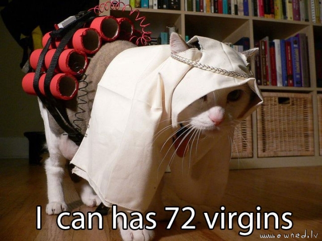 I can has 72 virgins