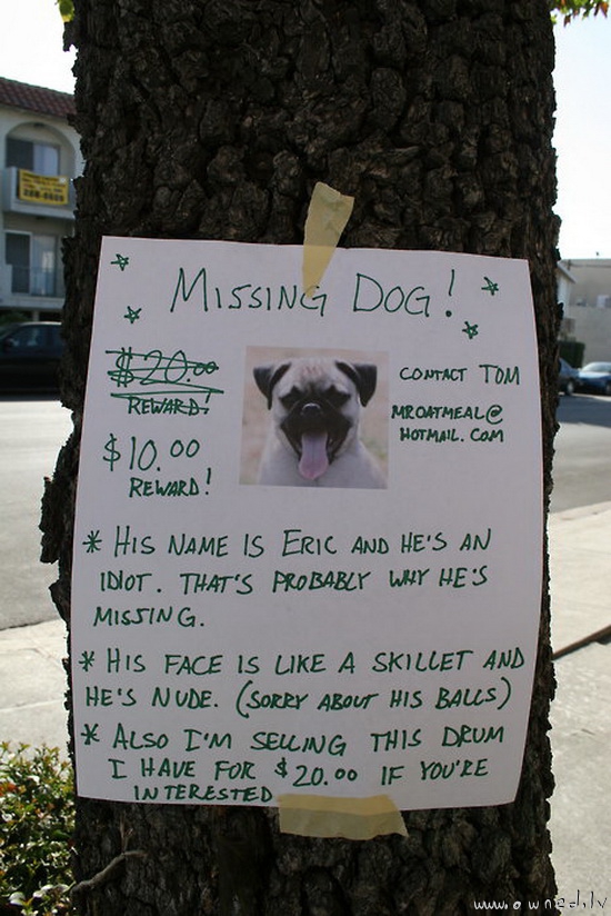 Missing dog