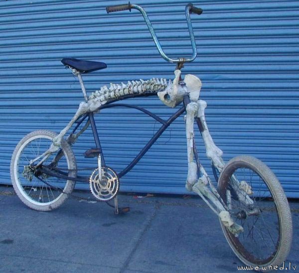 Bonerider