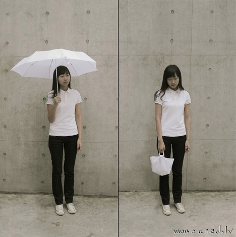 Multipurpose umbrella
