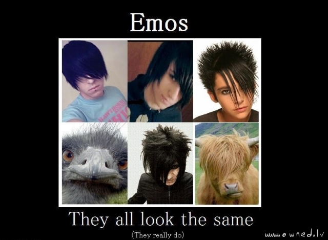 Emos