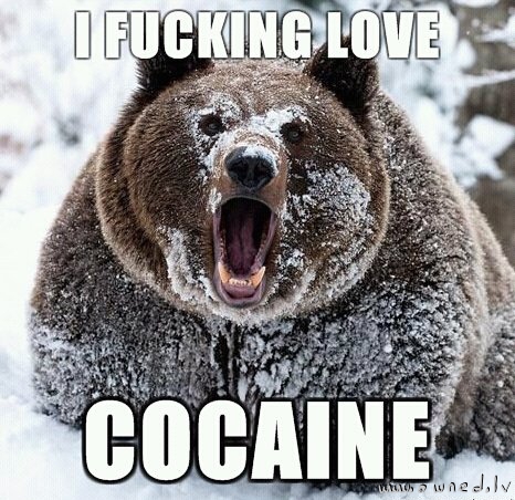 I love cocaine