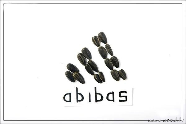 Abibas