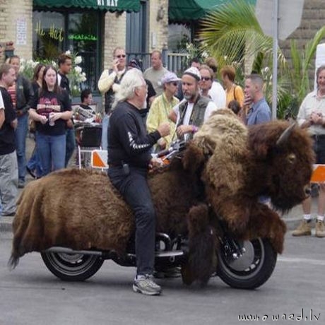 Riding the buffalo