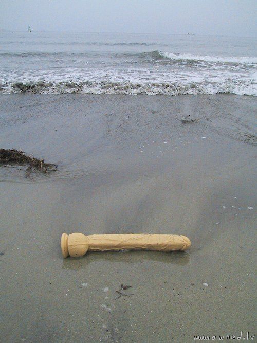 Washed ashore