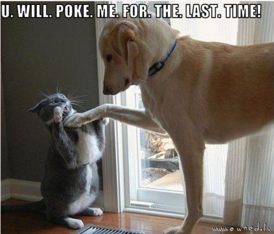 You will poke me for the last time !