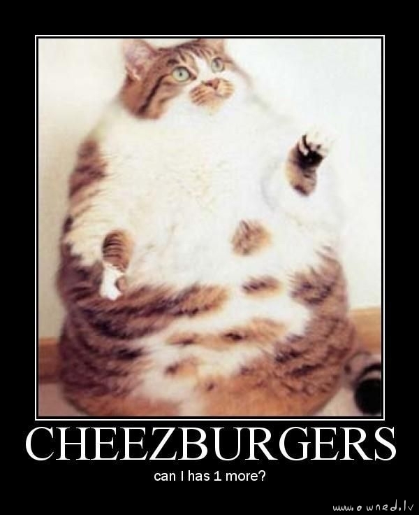 Cheezburgers