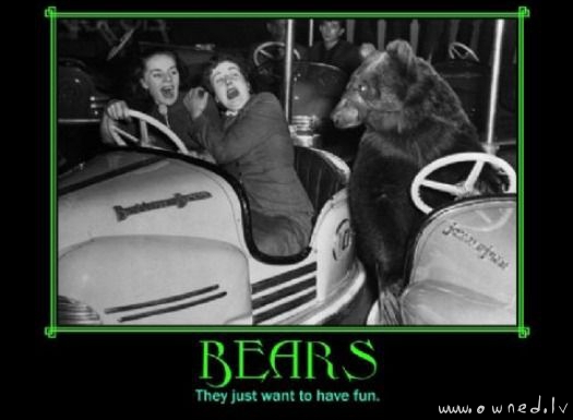 Bears