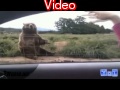 Best fails of 2011