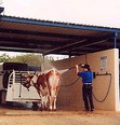 only in texas - car wash