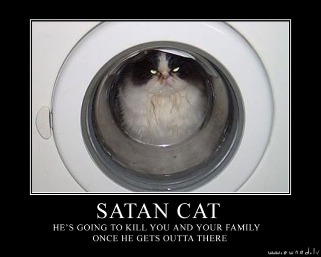 Satan cat