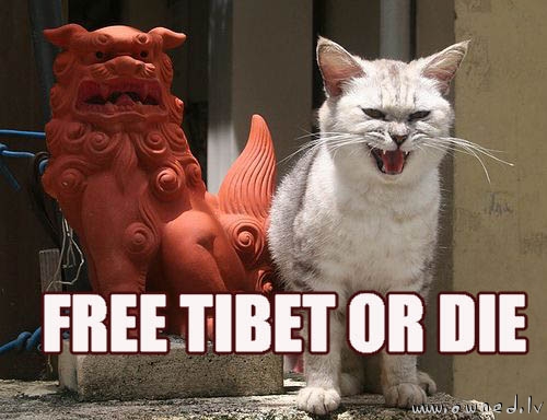 Free Tibet or die