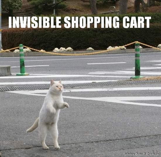 Invisible shopping cart