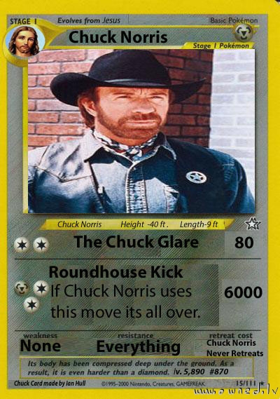 Chuck Norris card