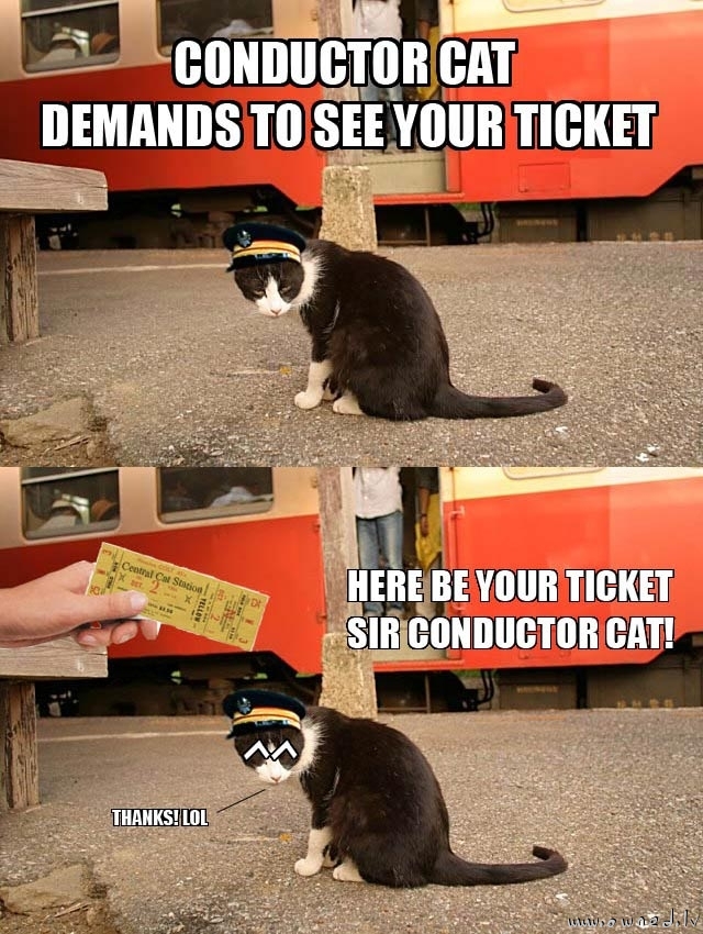 Conductor cat