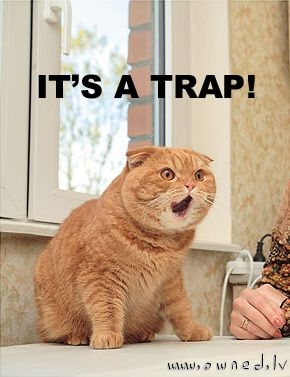 It is a trap !