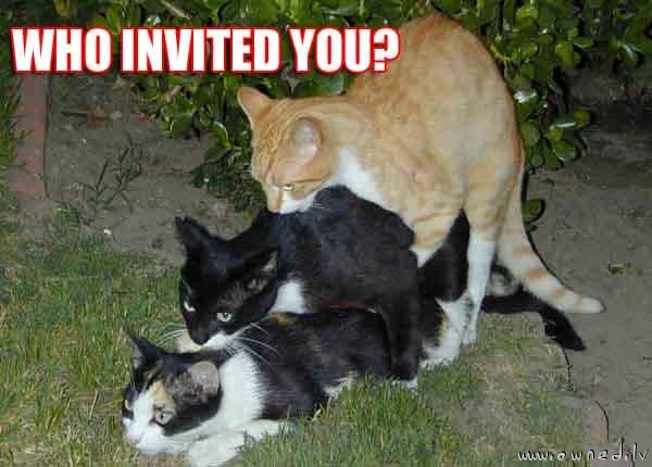 Who invited you ?