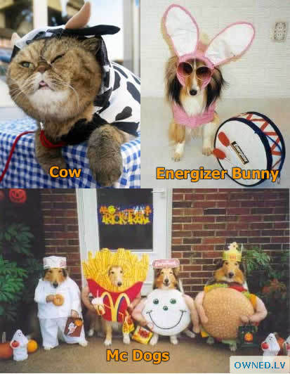 animal Halloween costumes