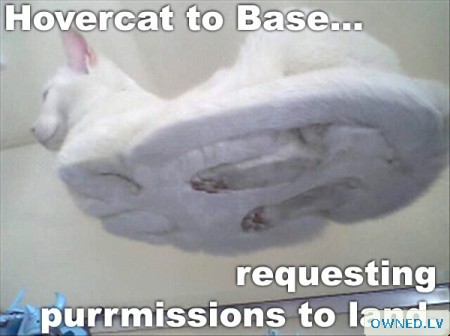 ... requesting purrmissions to land