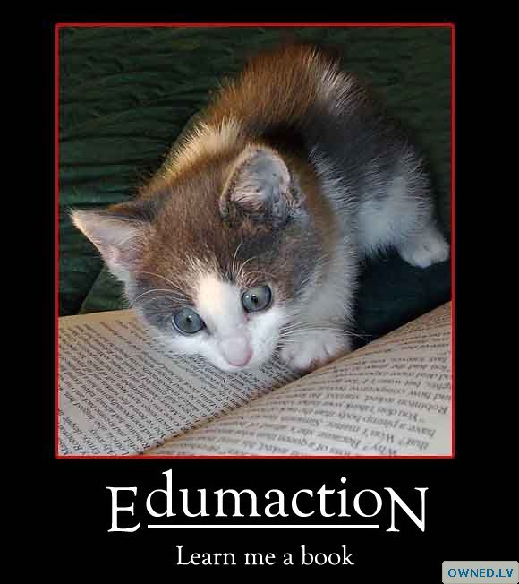 edumaction!!