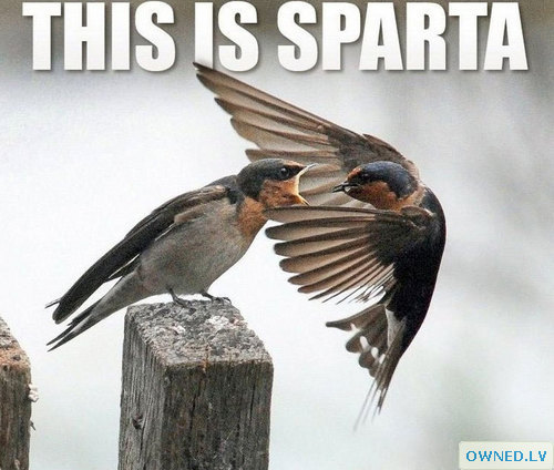 This is Sparta!