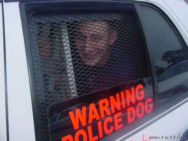 Warning ! Police dog