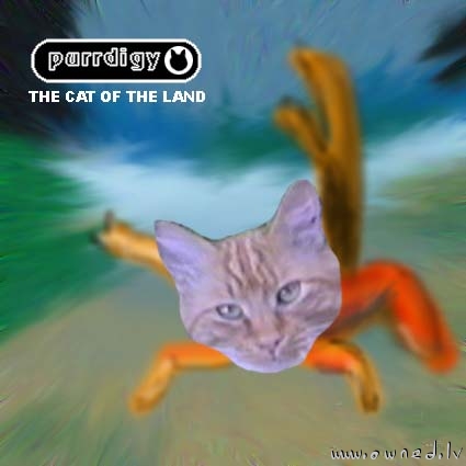 Purrdigy : The cat of the land