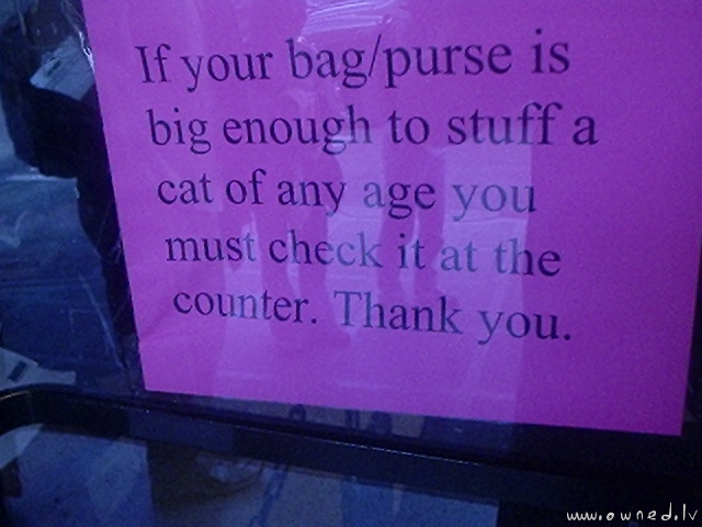 Size of your bag or purse