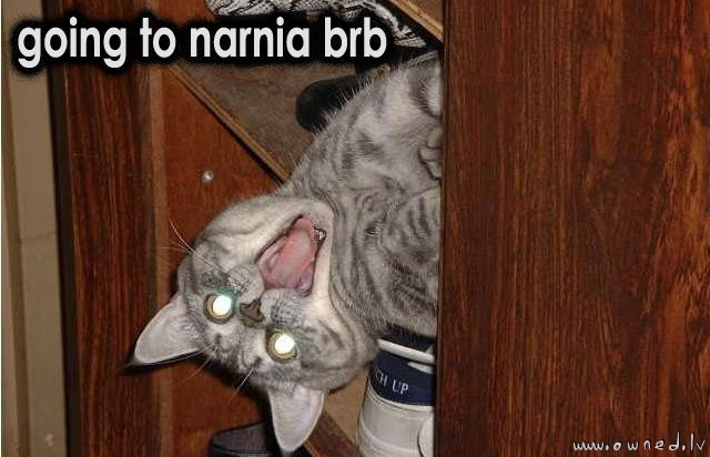 Going to Narnia