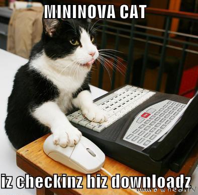Mininova cat