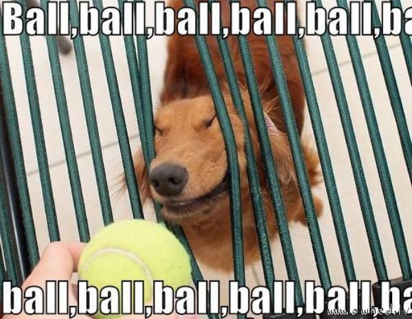 Ball ball ball ball