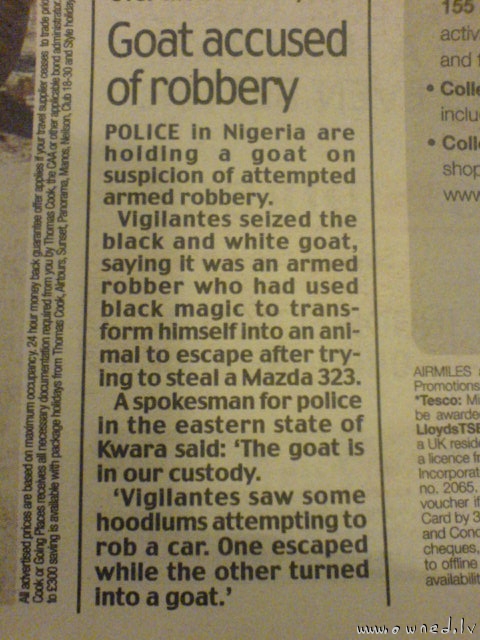Goat accused of robbery