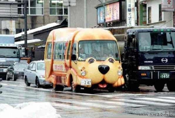 Dog bus
