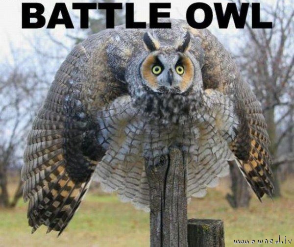 Battle owl
