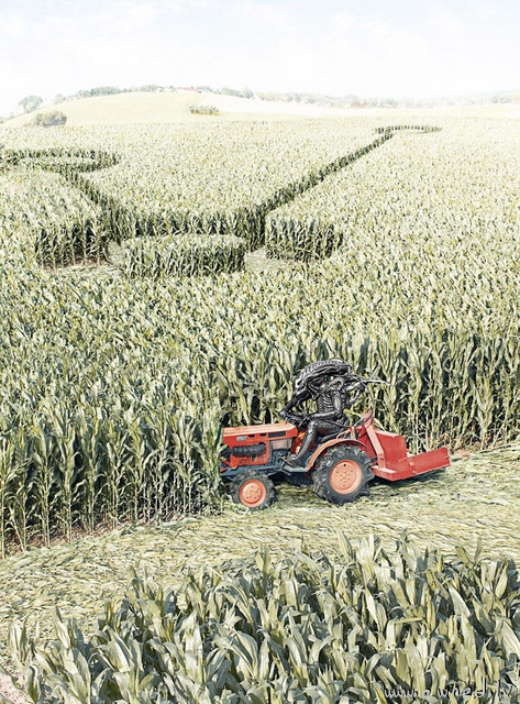 The truth about crop circles
